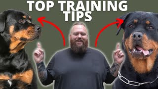 3 TIPS FOR TRAINING YOUR ROTTWEILER [upl. by Fugazy364]