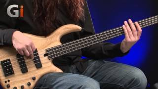 Guitar Interactive Elrick Expat eVolution 4String Fretless Bass Review [upl. by Oehsen]