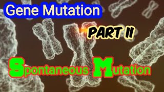 Spontaneous Mutation Depurination amp Deamination of DNA  Gene Mutation [upl. by Auqinat]