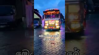 මෙයාට ආදරේ අය කෝ 😍😍 bus srilanka shorts [upl. by Herbie840]