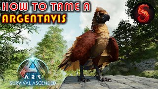 ARK SURVIVAL ASCENDED HOW TO TAME A ARGENTAVIS [upl. by Nesmat351]