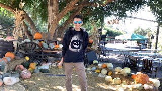 Pumpkin Patch Yucaipa🎃 [upl. by Artimed]