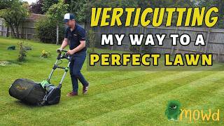 VERTICUTTING  my way to a perfect lawn [upl. by Greenstein]