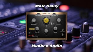 Delay VST by MadbeeAudio  VST free  Guitar test [upl. by Hunsinger769]