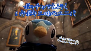 【ユニバ】ポッチャマと一緒にハリポタ三昧！キャッスルウォークvlog [upl. by Cain]