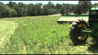 Cutting Alfalfa Field with John Deere Tractor and MoCo [upl. by Thibault]