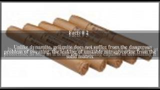 Gelignite Top  5 Facts [upl. by Knute572]