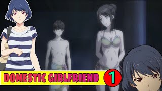 Domestic Girlfriend season 1 Episode 1 in hindi  Anime explanation in hindi  CARRY ANIME [upl. by Leciram]