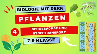 Pflanzen  4  Sprossachse und Stofftransport  7  9 Klasse [upl. by Eachelle416]