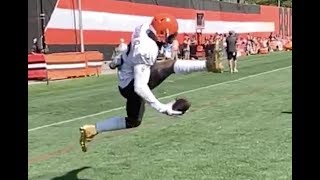 Odell Beckham Jr onehanded trick catch  Cleveland Browns [upl. by Heti171]