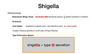 Shigella [upl. by Ayam]