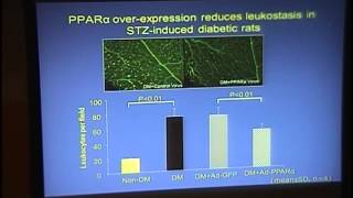 Fenofibrate Effect on Diabetic Retinopathy its Target and Mechanism of Action [upl. by Lleirbag]