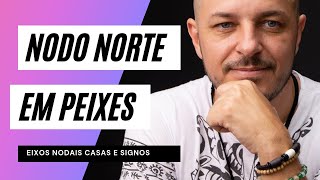 Nodo norte em Peixes ou na casa 12 [upl. by Atinoj241]