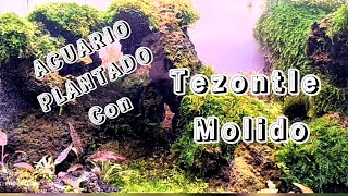 acuario plantado fácil con tezontle molido [upl. by Schluter]