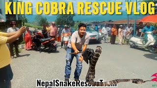 😱 Young King Cobra Rescue Vlog  Deadly Venomous snake 😬 Pokhara  Nepal 🇳🇵 [upl. by Gujral]