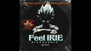 FEEL IRIEBLACKANGLE [upl. by Maurey167]