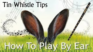 Tin Whistle Tips  HOW TO PLAY BY EAR  getting started for beginners [upl. by Jere52]