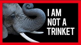 Stop Wildlife Crime The Series  Elephants Video 2  WWF [upl. by Siubhan486]