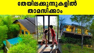 തേയിലക്കുന്നുകളിൽ താമസിക്കാം  Tea Terrain Resorts and Spa  Iype Vallikadan  Travel With Me [upl. by Trant]