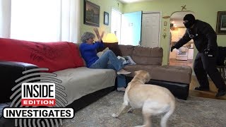 Dogs Tested to See Whether They’d Defend Owner During Home Invasion [upl. by Eyllek57]