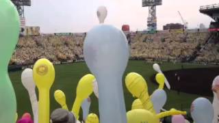 Balloon release at Japanese baseball game [upl. by Aradnahc]