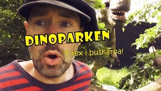 TREX lurar i buskarna  DINOPARKEN med Pappa Kapsyl  kul fakta om dinosaurier för barn [upl. by Ahsiloc]