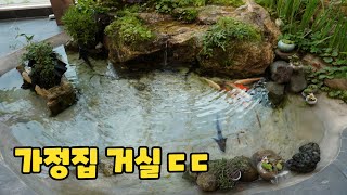 집안에 대자연을 만든 부부썸넬어그로아님전원생활의 로망 [upl. by Japheth]