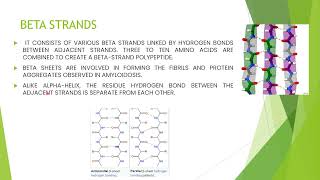 BASICS OF AMINO ACIDS AND PROTEINS [upl. by Trista]