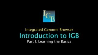 Introduction to IGB Part I Learning the Basics [upl. by Llebasi]