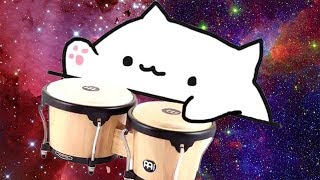 Bongo Cat Лучшая Подборка  Бонго Кэт  Новый мем 2018 [upl. by Twum658]