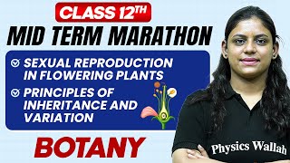 Complete CBSE Botany  Class 12th  MID Term in One Shot  Marathon Series 🔥 [upl. by Sungam]