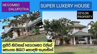 NO468 NEGOMBO SUPER LUXERY HOUSE FOR SALE PERCH 25BEUTIFULL LOCATION [upl. by Wiburg203]