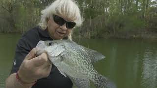 Learn to Locate Crappie at a New Lake [upl. by Eidac]