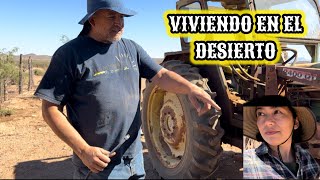 121🌵AMANECIO PONCHADO Y MUERTA LA BATERÍA PERO SEGUIMOS TRABAJANDO 🔥 desert campo [upl. by Adnohsek56]