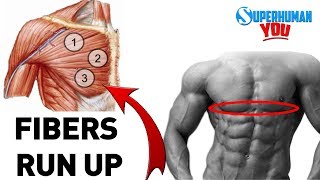 How To Get A Big Lower Chest [upl. by Em]