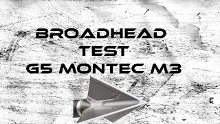 Broadhead Test G5 Montec M3 [upl. by Zantos184]