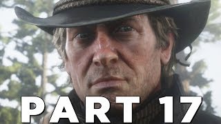 RED DEAD REDEMPTION 2 Walkthrough Gameplay Part 17  GRAND THEFT RDR2 [upl. by Jemena]