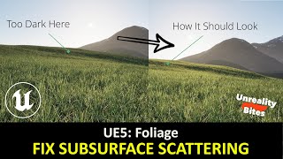 UE5  Get Better Looking Megascans Foliage with this QUICK FIX [upl. by Euqinahc]