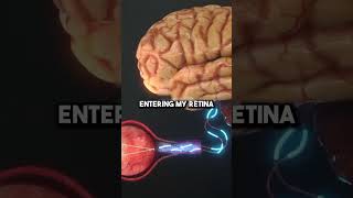 Double Slit Experiment  facts scienceexperiment neildegrassetyson [upl. by Etessil692]