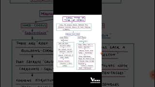 CORAL TYPESTYPES OF CORALSCNIDARIA shorts MSC ZOOLOGY UPSC ZOOLOGY BSC ZOOLOGY IFS ZOOLOGY [upl. by Rollins]