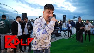 Bogdan DLP  Habibi 🎤 Live [upl. by Corena]