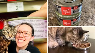 Orijen has wet cat food Lets review it [upl. by Odlo978]