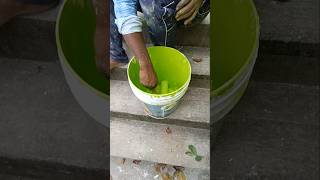 jabardast colour house painting 🏠 home colors reels viralvideo RangilaPainter [upl. by Eidnac]