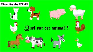 【Bruits de FLE】 Quel est cet animal  les animaux domestiques [upl. by Ive]