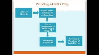 bells palsy [upl. by Nikaniki]