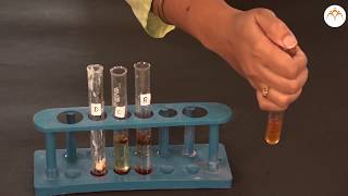 To study oxidation and addition reactions of carbon compounds [upl. by Einnaoj389]