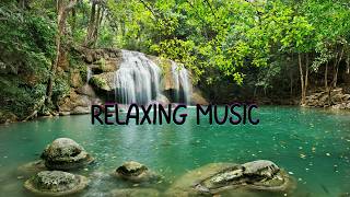 ROLAND HDP20 DEMO  DEEP FOREST RELAXING MUSIC [upl. by Mosenthal460]