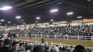 2023 Gordyville Draft Horse Sale 110000 213 Center Ridge Ben [upl. by Arhas]