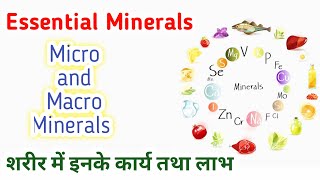 Minerals  Essential minerals for human body  what are macro and micro minerals function amp benefits [upl. by Ahsirtap]