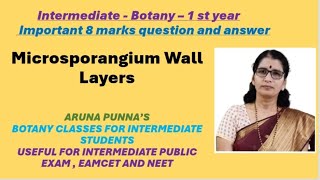 Intermediate 1st year BOTANY  Microsporangium wall layers in English Medium By Aruna Punna [upl. by Nirrok]